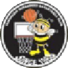 https://img.weichengpit.com/img/basketball/team/e416830f4083698237c559f8988ddb25.png